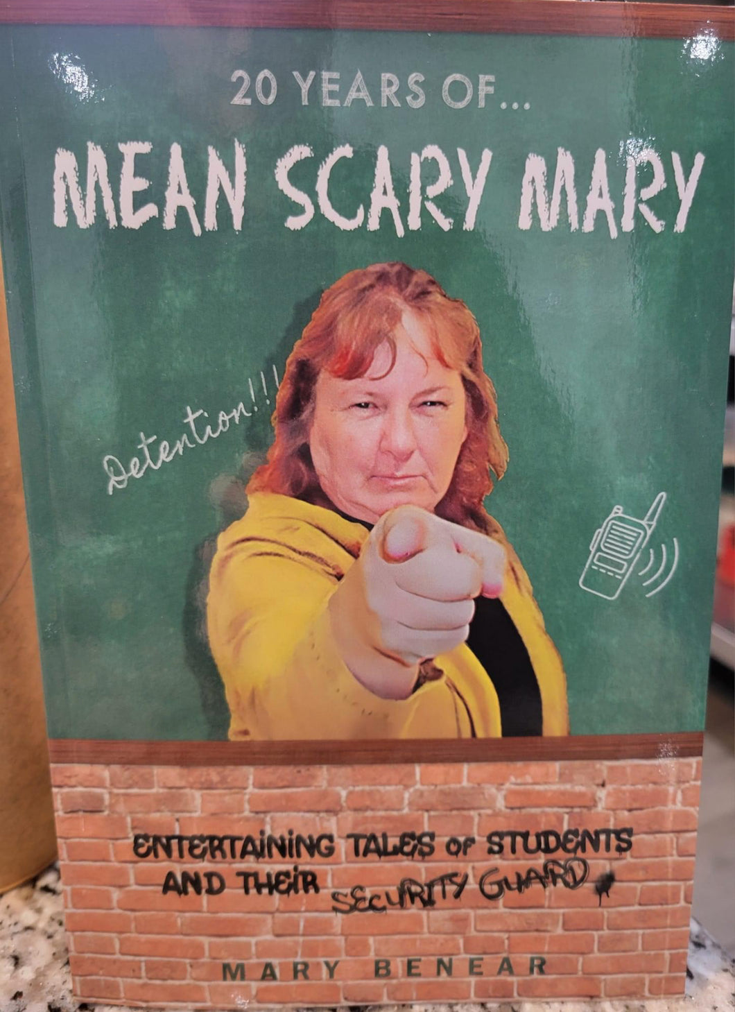 Mean Scary Mary Book