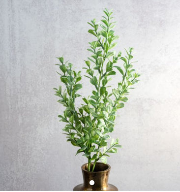 HD 26” EUCALYPTUS BUNCH