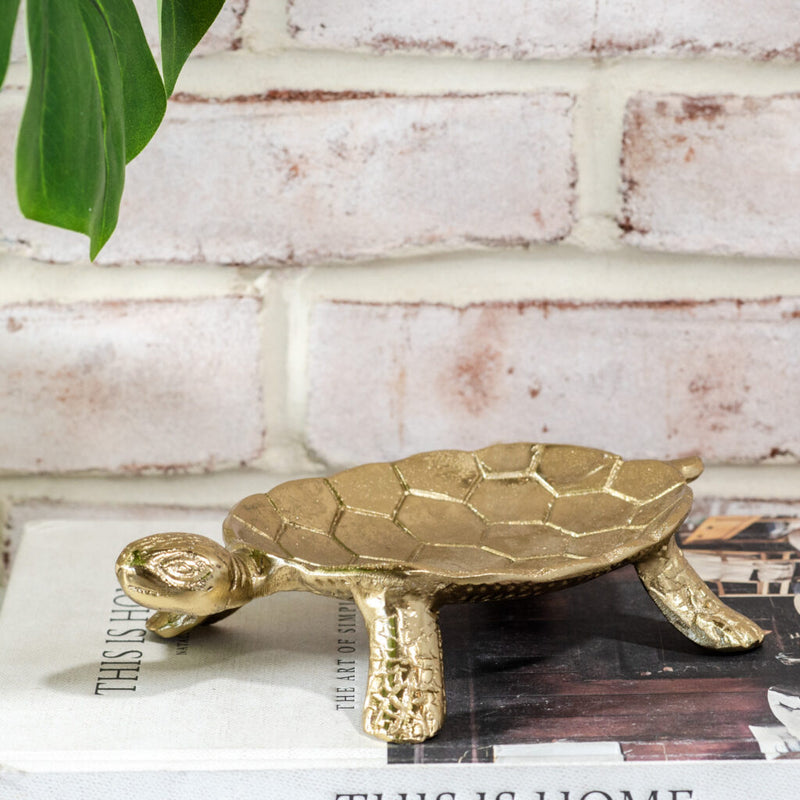 HD 8″ X 5″ GOLD TURTLE TRAY PDDIV21 – Walnut Street Marketplace