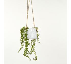 HD  MODERN HANG PLANTER. PDPH1767