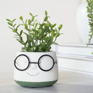 HD 2.75″ SHERMAN PLANTER PDCP31