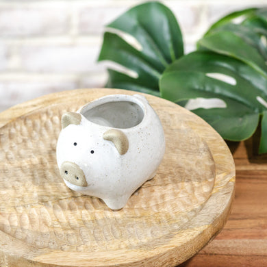 HD 2 TONE CERAMIC PIG PLANTER HXDC-075