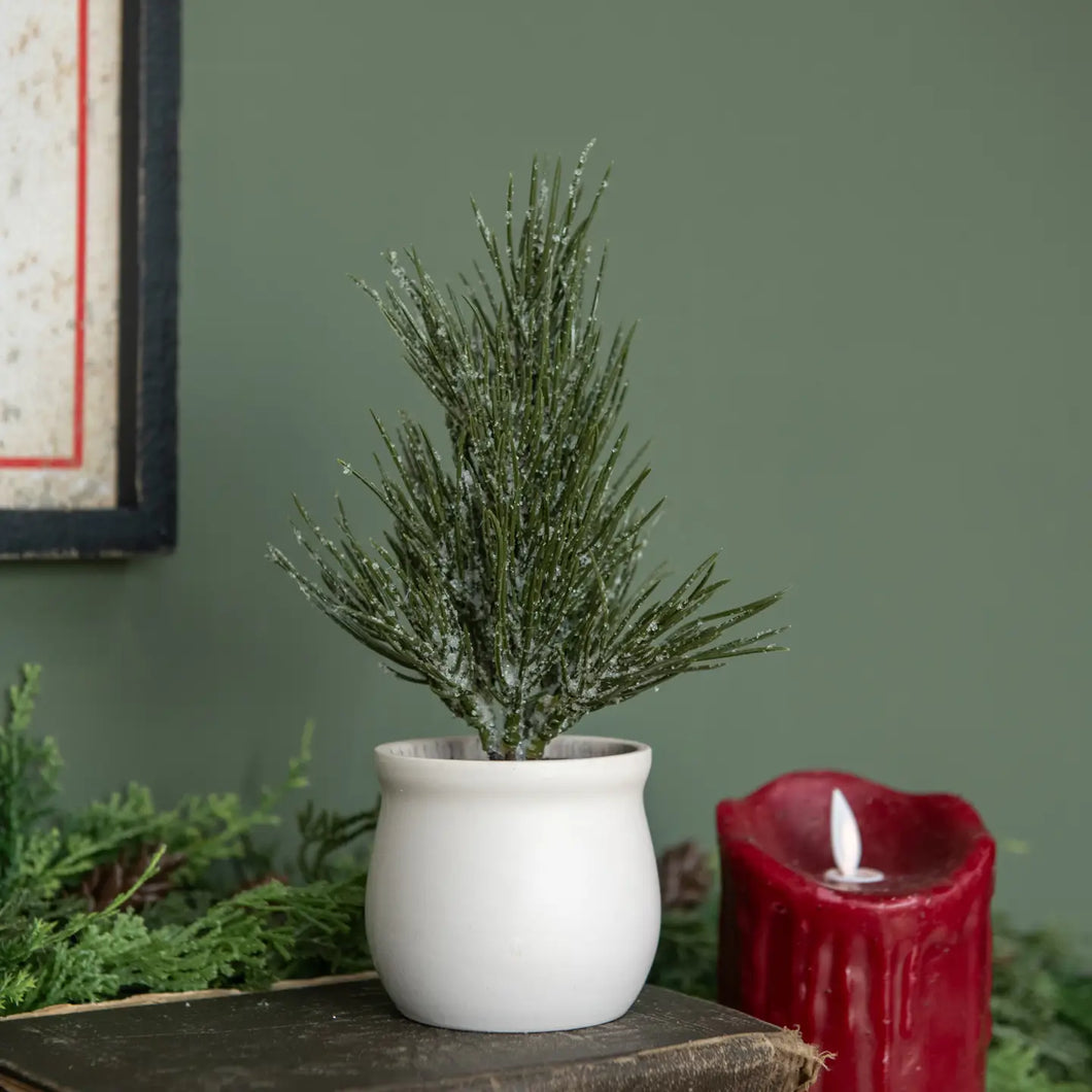 HD Vail Tree in Pot ST222005