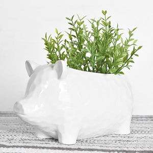 HD WHITE PIG PLANTER HXHD033