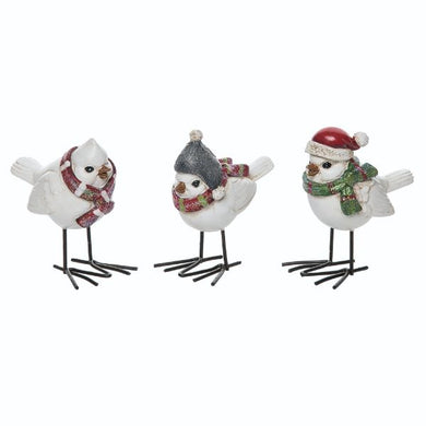 HD Res Plump Winter Bird 3 Asst TC01336