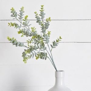 EUCALYPTUS STEM  PDDH-03