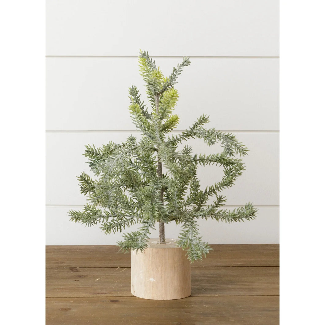 Frosted Pine In Wooden Base, 12 Inches 7F6745
