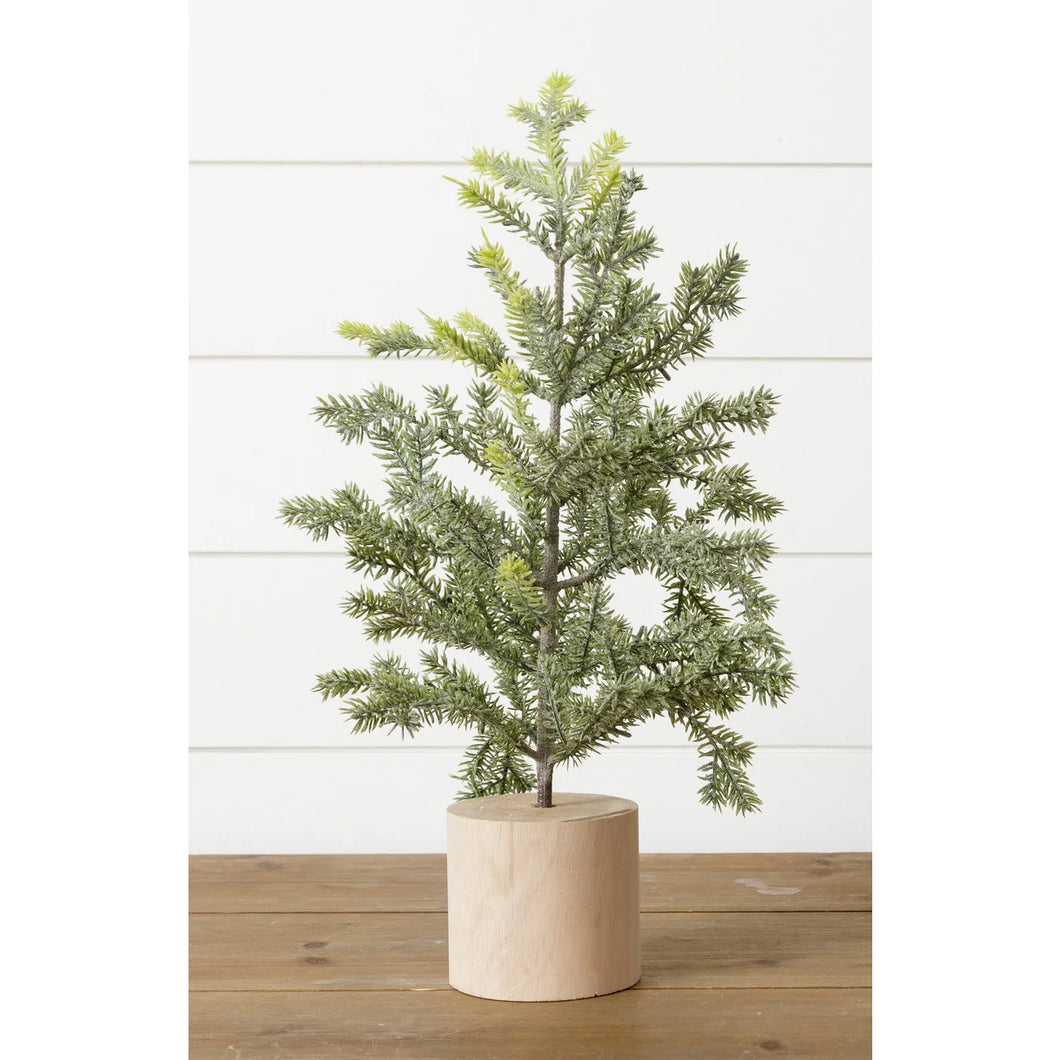 Frosted Pine In Wooden Base, 18 Inches  7F6744