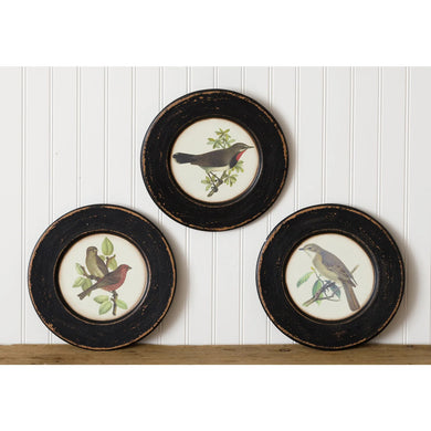 HD Wooden Plates - S/3 Assorted Birds 8W3113