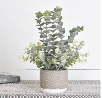 HD 14.5” Eucalyptus In Cement Pot