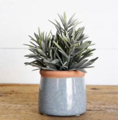 Cement Pot With Succulent