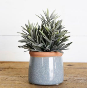 Cement Pot With Succulent