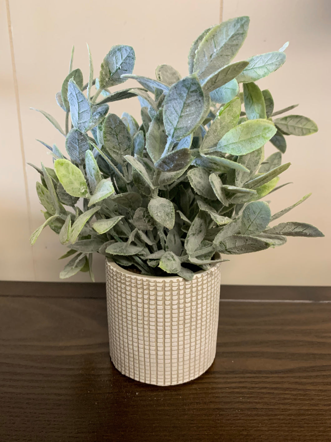 Baby Green Leaves in Cement Pot