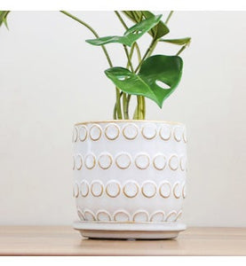 4.5” Ceramic Dot Pot PDVE19